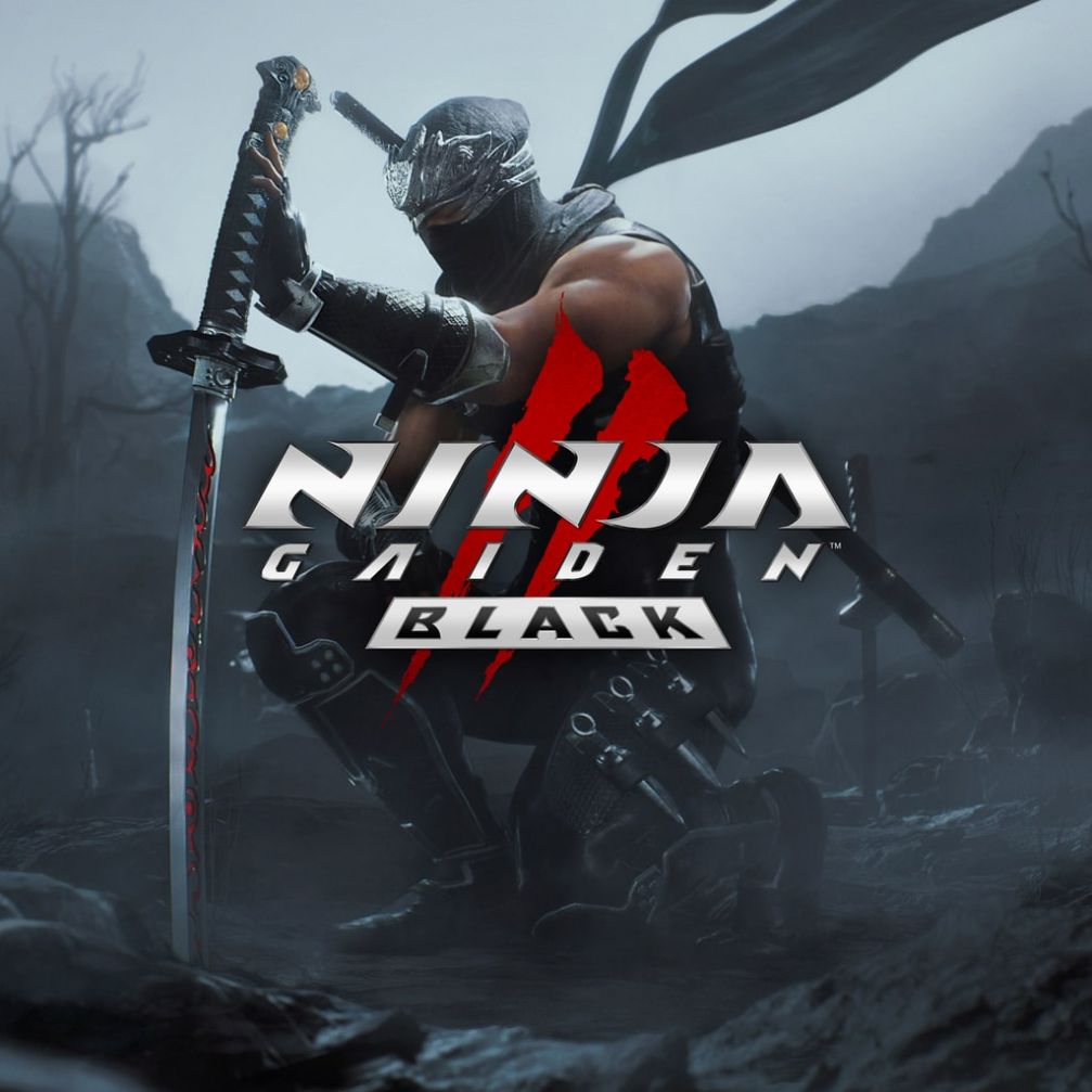 NINJA GAIDEN 2 Black cover art