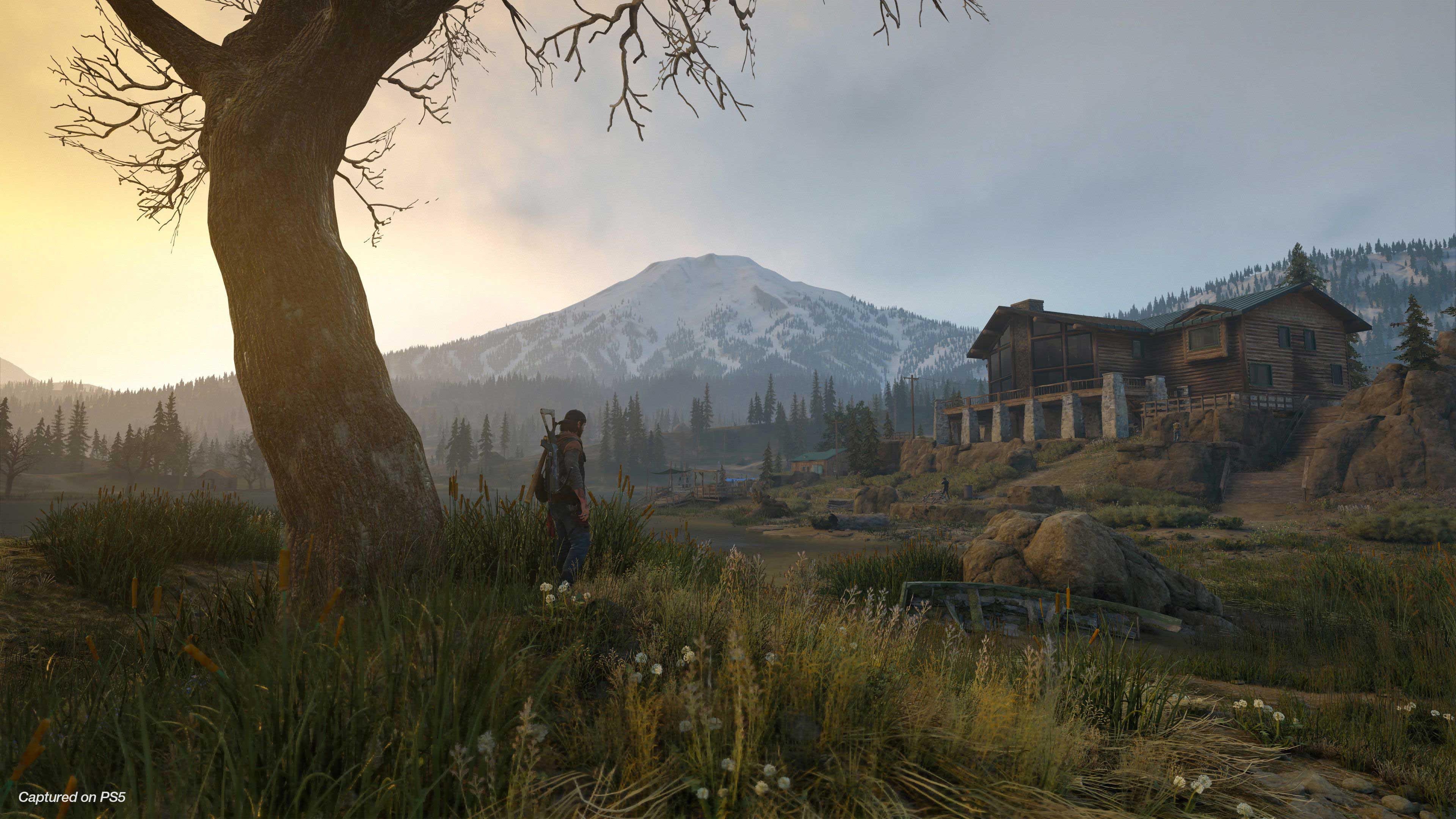 days-gone-screenshot-2.jpg
