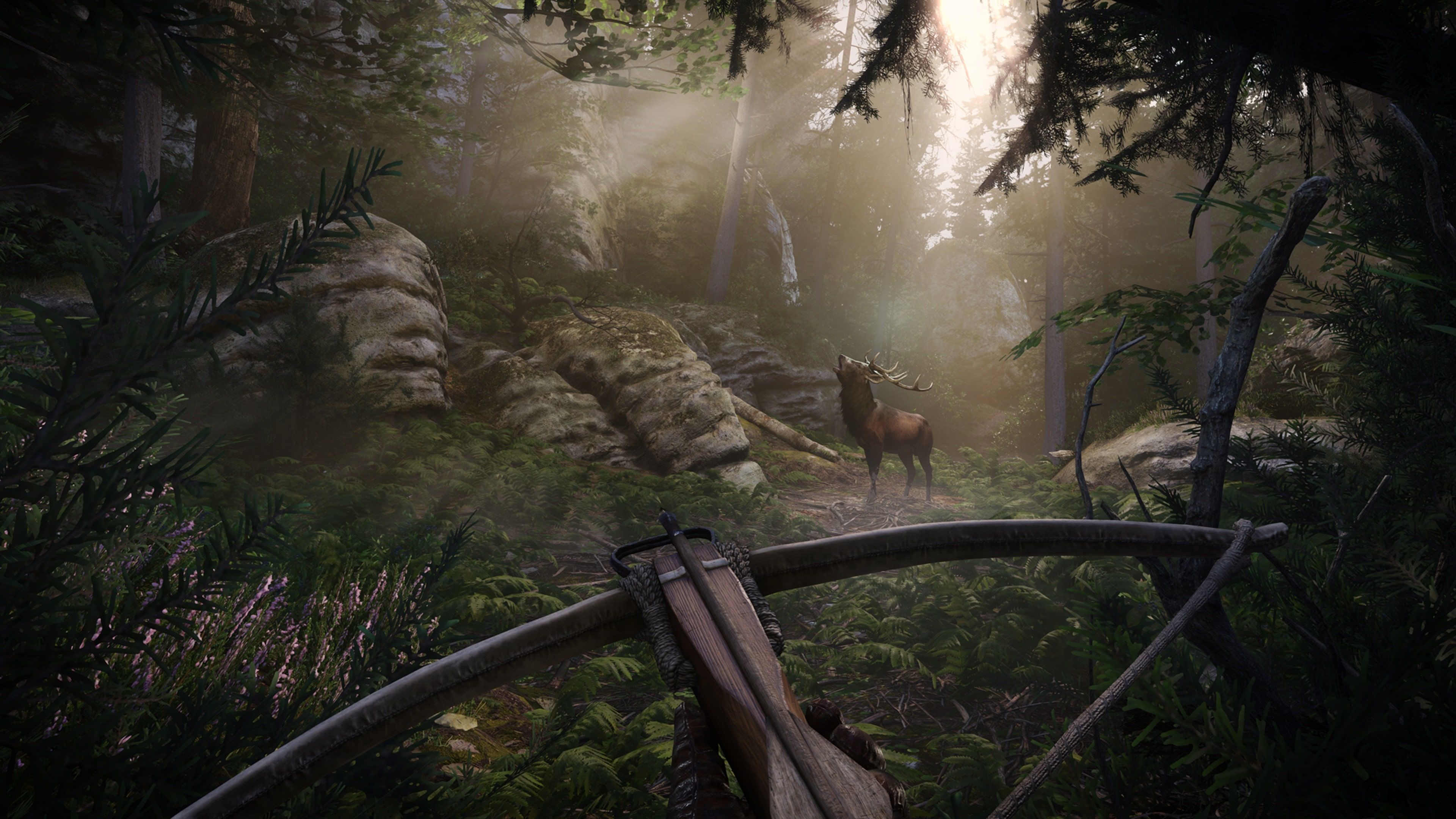 kingdom-come-deliverance-ii-screenshot-5.jpg