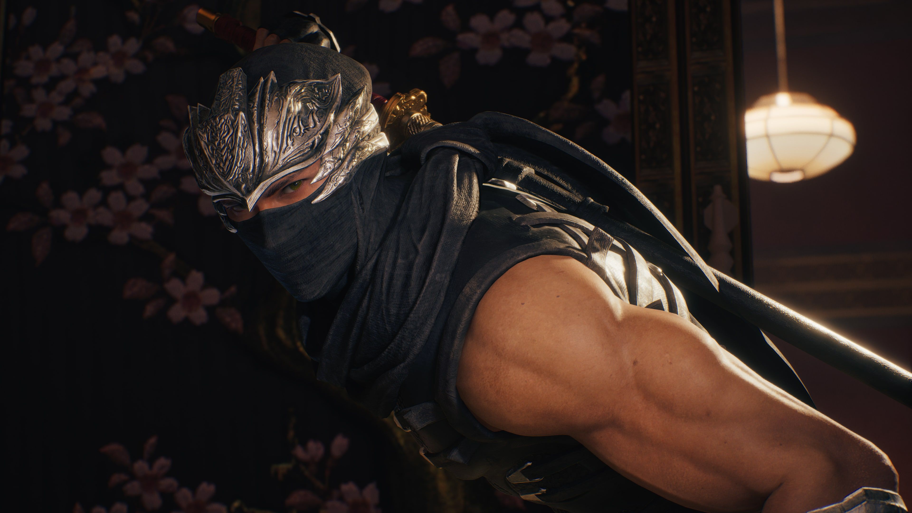 ninja-gaiden-2-black-screenshot-4.jpg