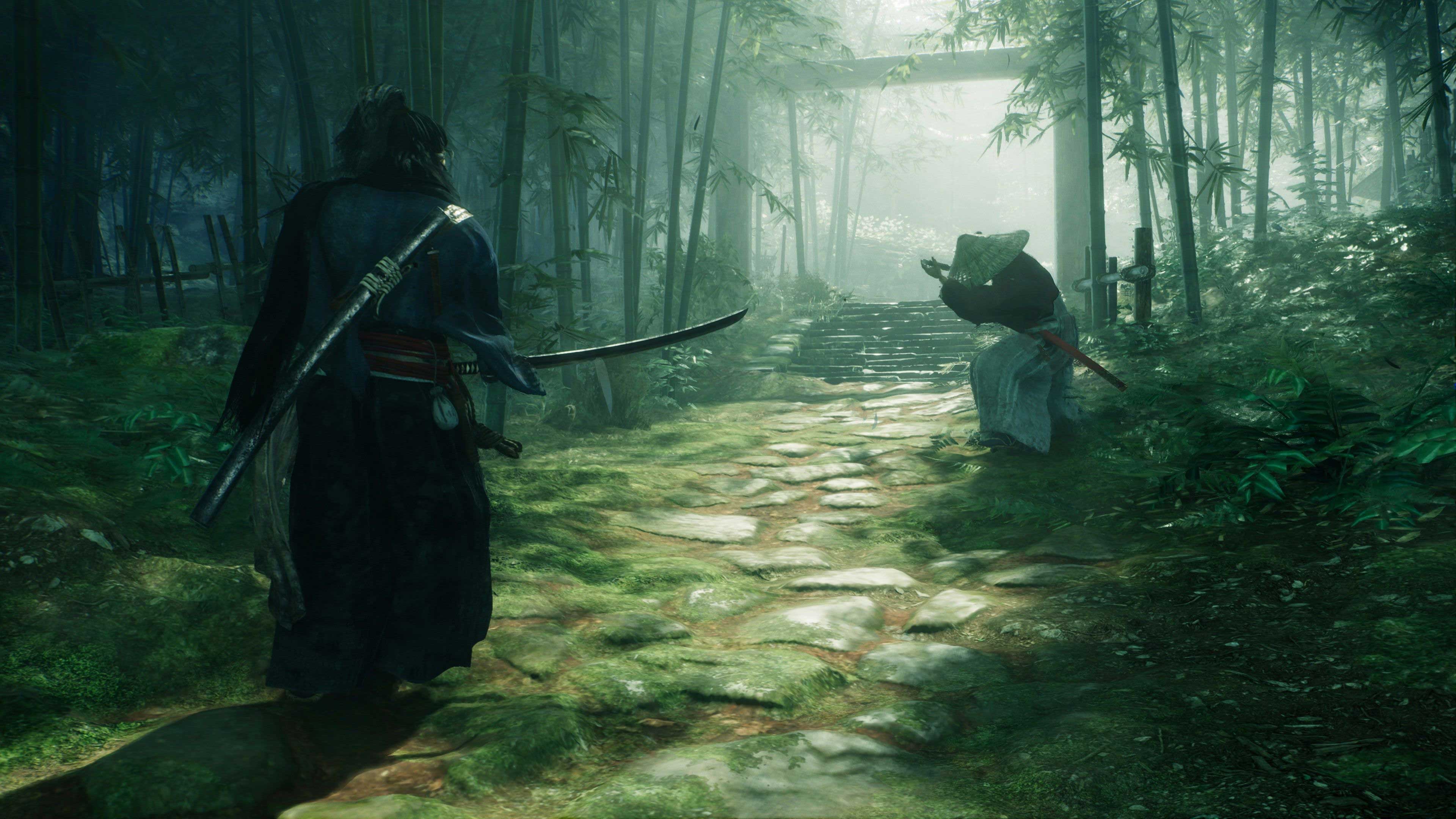 rise-of-the-ronin-screenshot-1.jpg