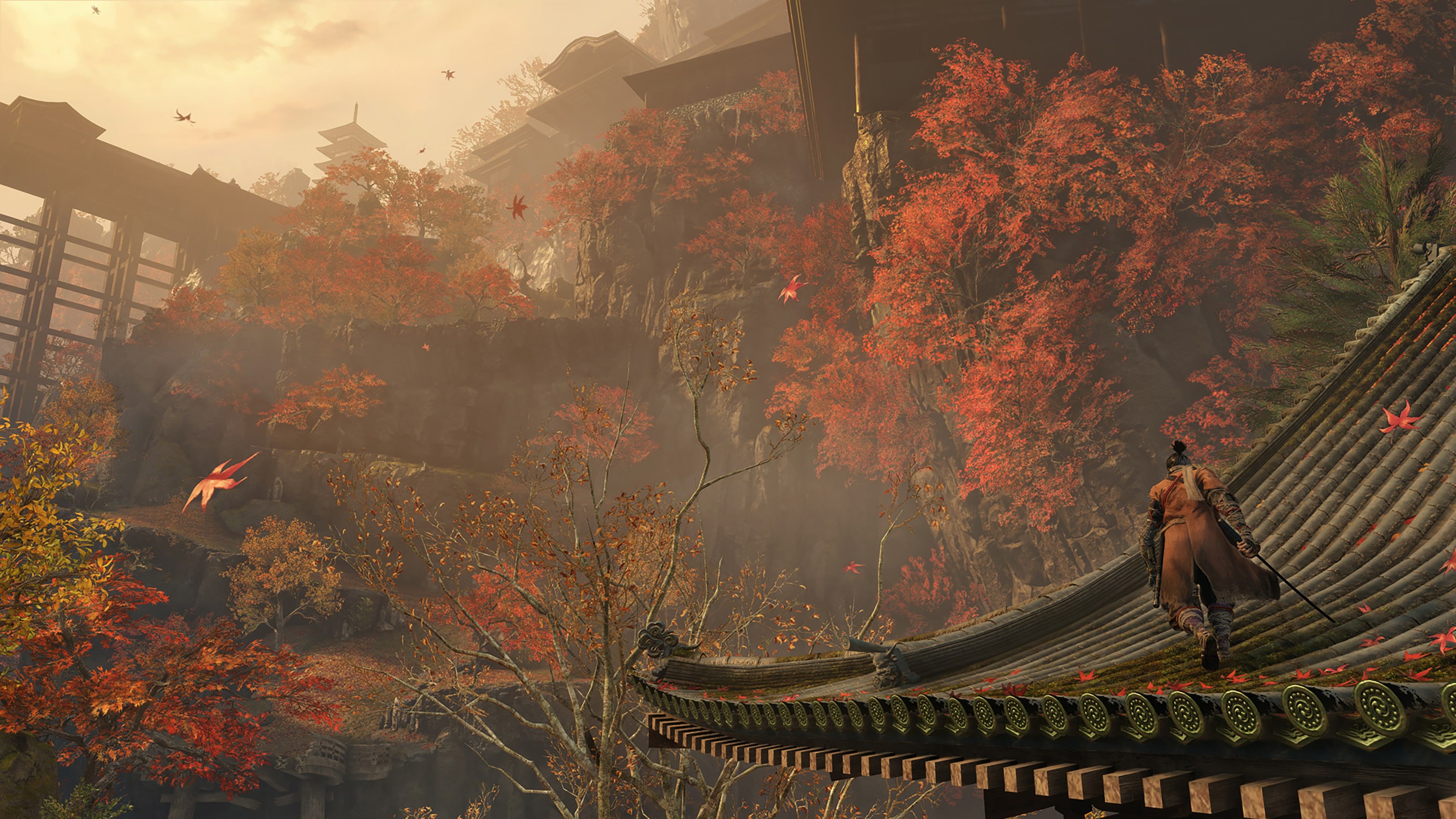 sekiro-shadows-die-twice-game-of-the-year-edition-screenshot-4.jpg