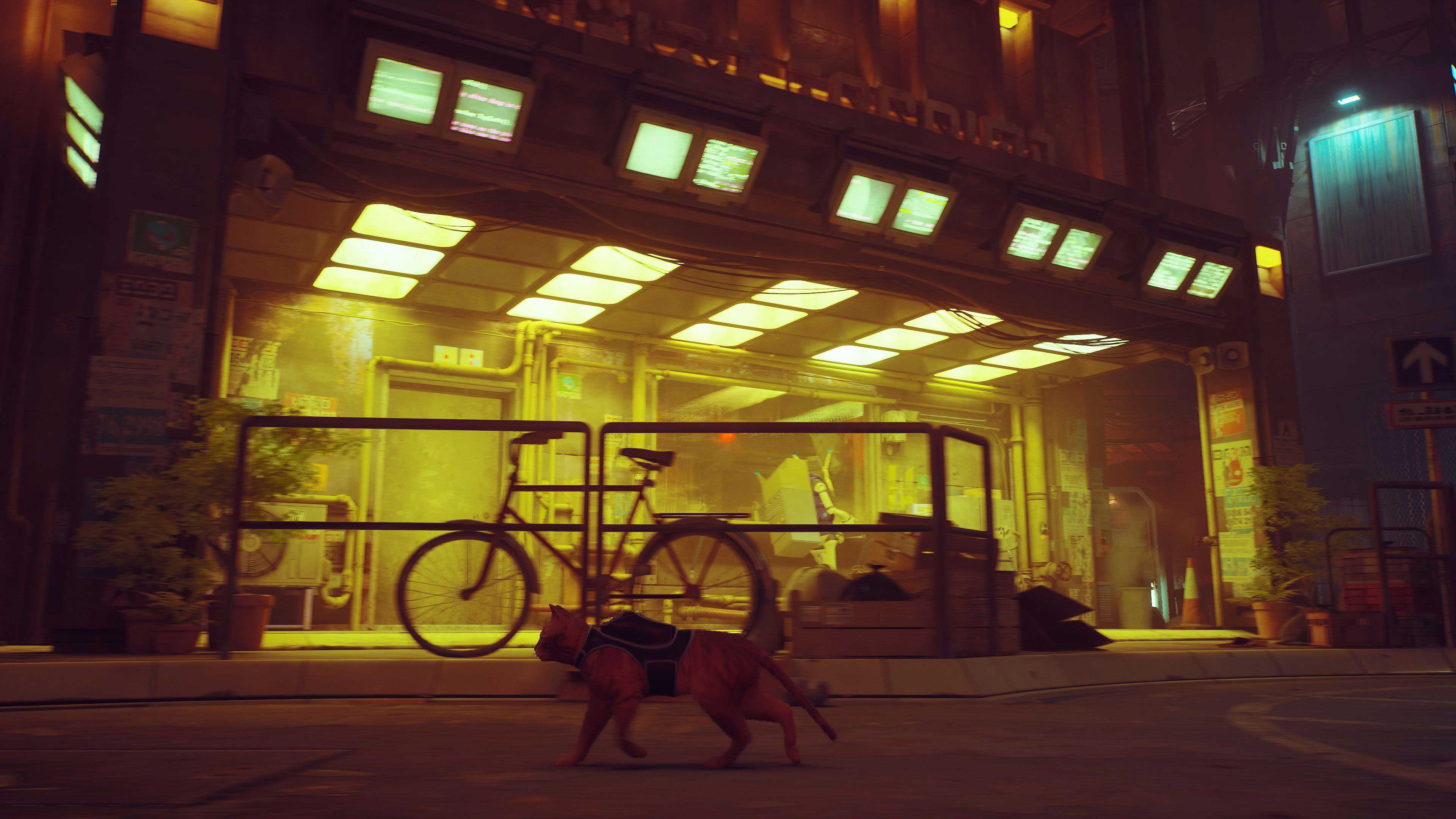 stray-screenshot-1.jpg