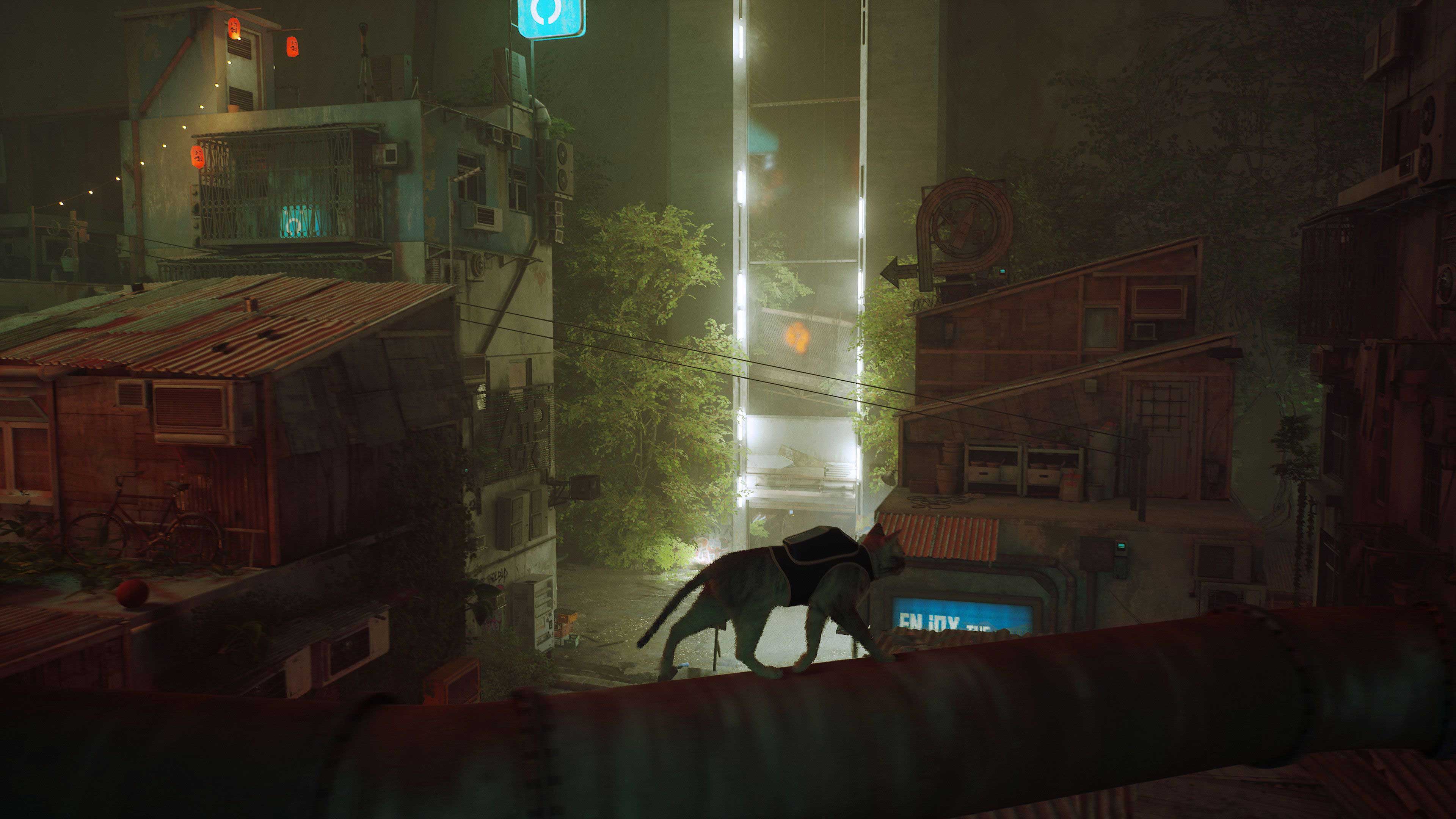 stray-screenshot-2.jpg