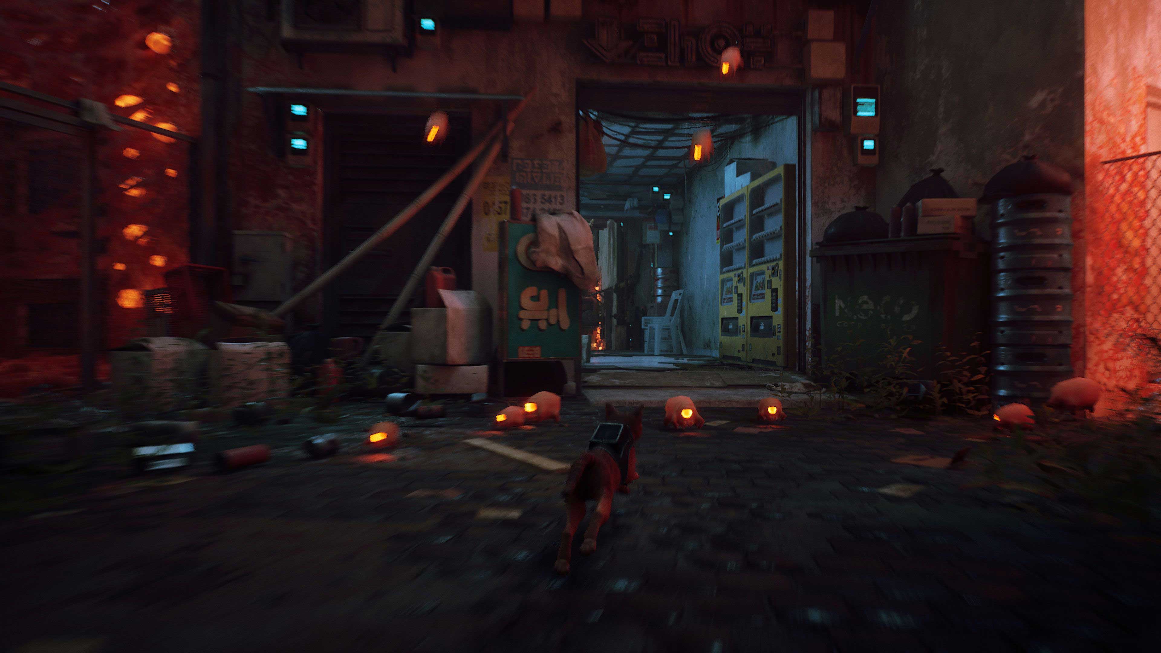 stray-screenshot-8.jpg