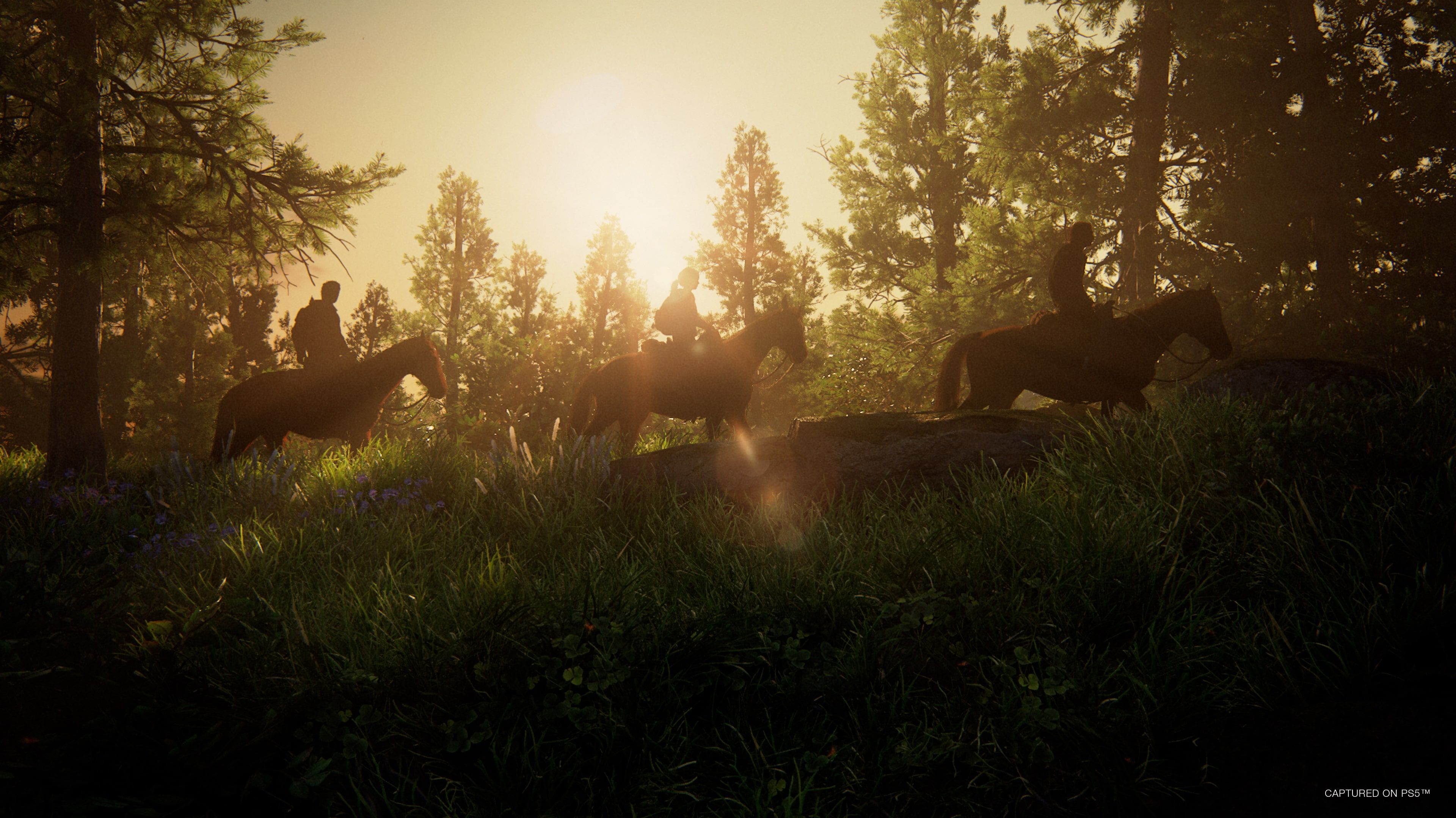 the-last-of-us-part-i-screenshot-9.jpg